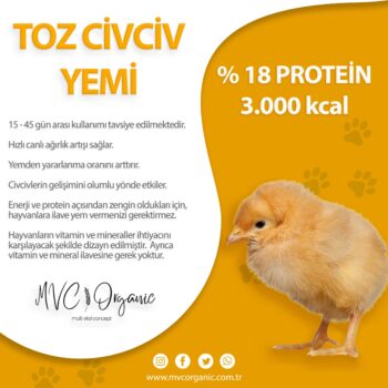 Toz Civciv Yemi 18 Protein
