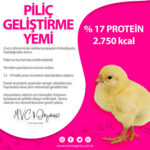 Piliç Geliştirme Yemi (17HP)