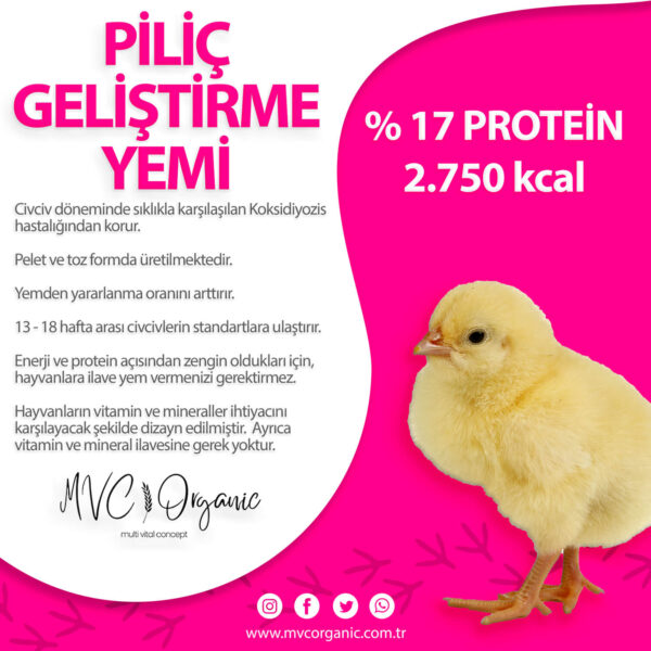 Piliç Geliştirme Yemi (17HP)