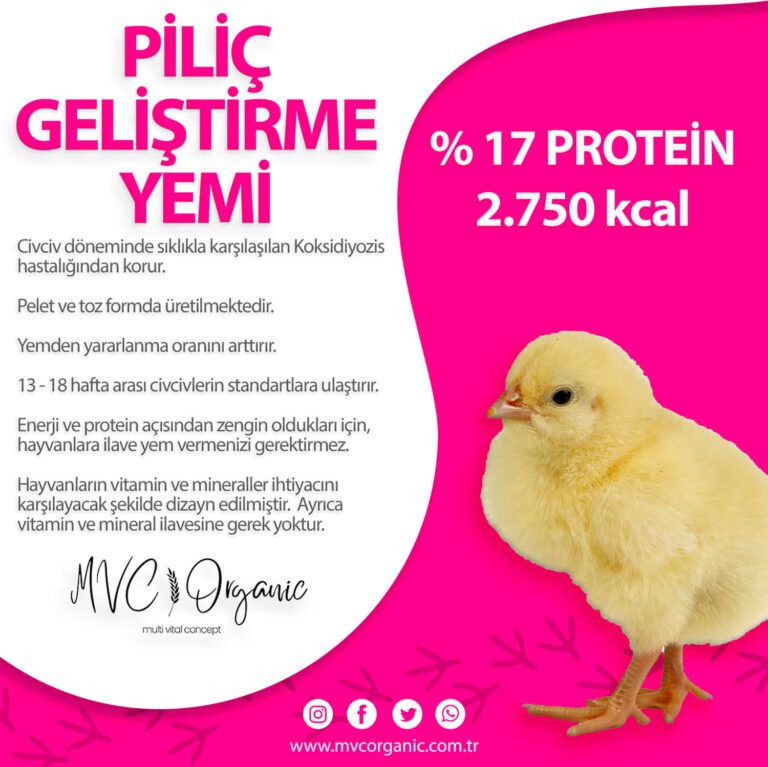 Piliç Geliştirme Yemi (17HP) photo review