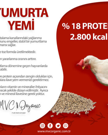 Yumurta Yemi (18HP)