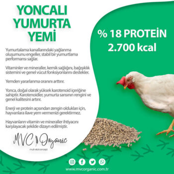 Yoncalı Yumurta Yemi (18HP)