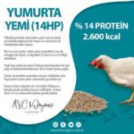 14 Ham Protein Yumurta Yemi