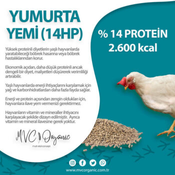 14 Ham Protein Yumurta Yemi