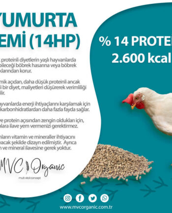14 Ham Protein Yumurta Yemi