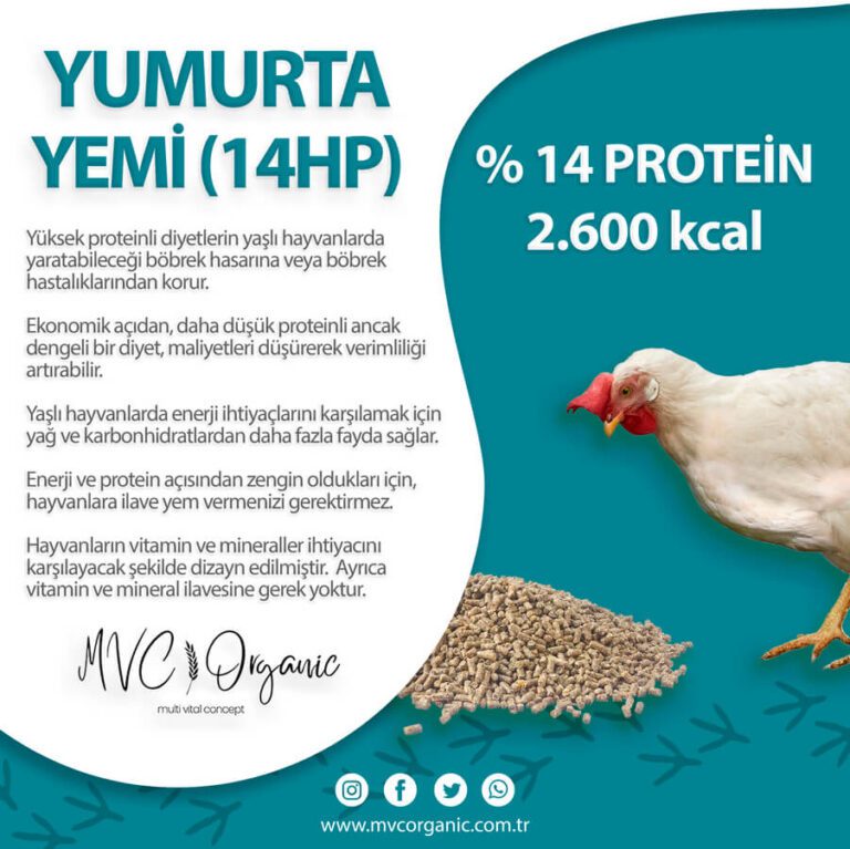 14 Ham Protein Yumurta Yemi