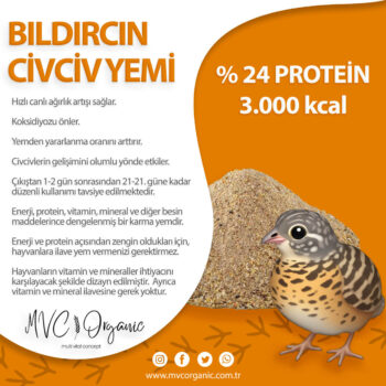 Bıldırcın Civciv Yemi (24HP)