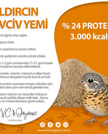 Bıldırcın Civciv Yemi (24HP)