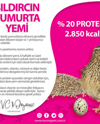 Bıldırcın Yumurta Yemi (20HP)
