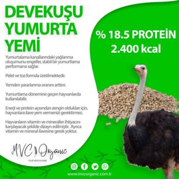 Devekuşu Yumurta Yemi (18.5HP) görseli