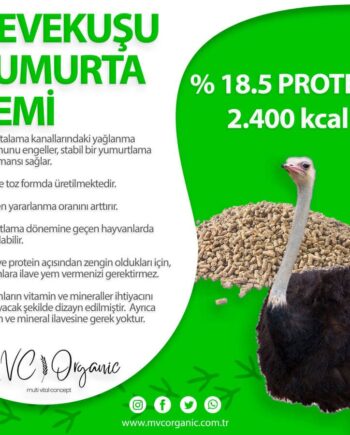 Devekuşu Yumurta Yemi (18.5HP) görseli