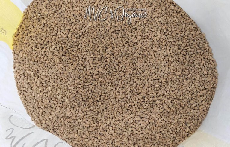 Devekuşu Yumurta Yemi photo review