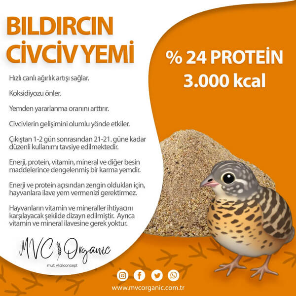 Bildircin-Toz-Civciv-Yemi-24HP-optimized