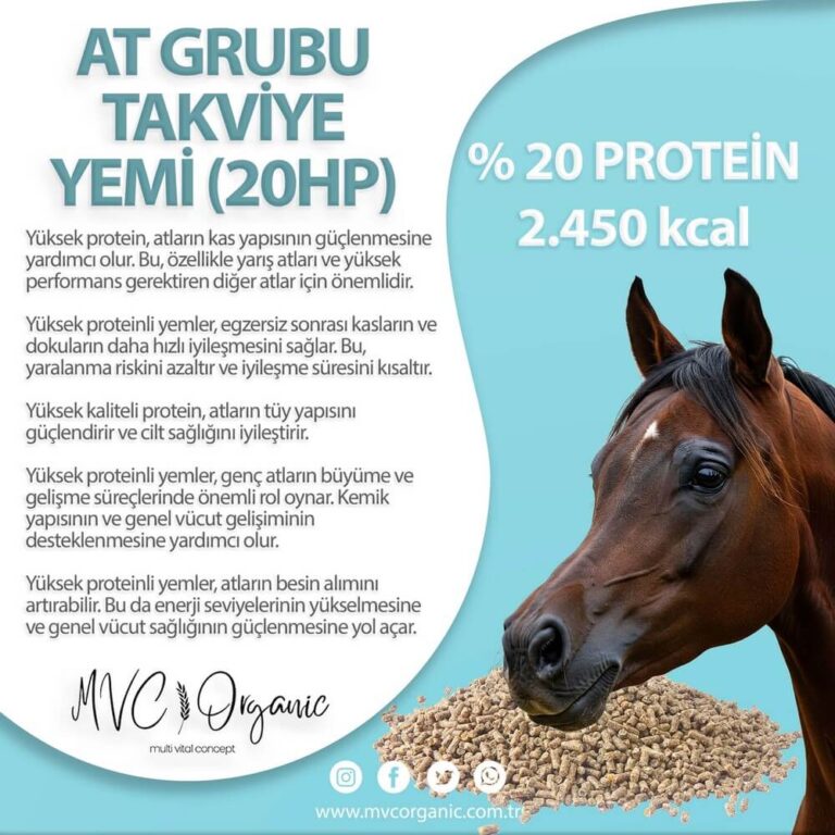 Atlar için destek takviye yemi - 20 Protein