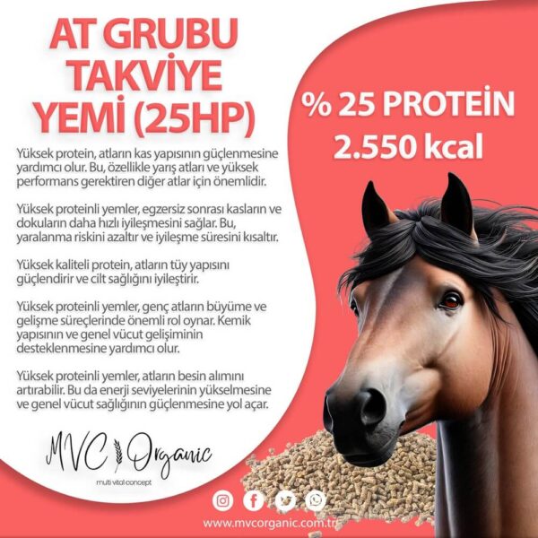 At Takviye Destek Yemi (25HP)