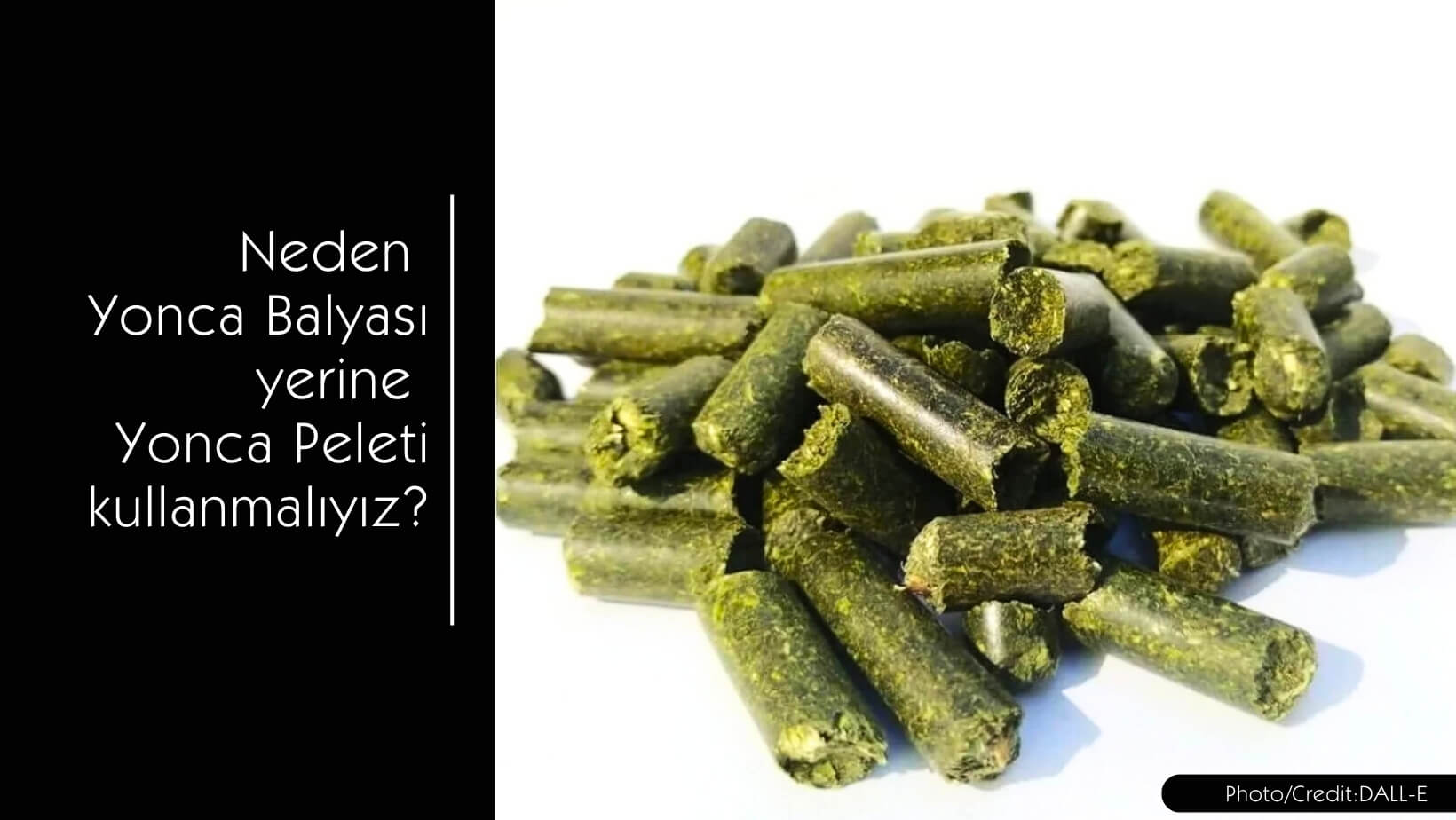 Neden Yonca Balyası yerine Yonca Peleti kullanmalıyız?