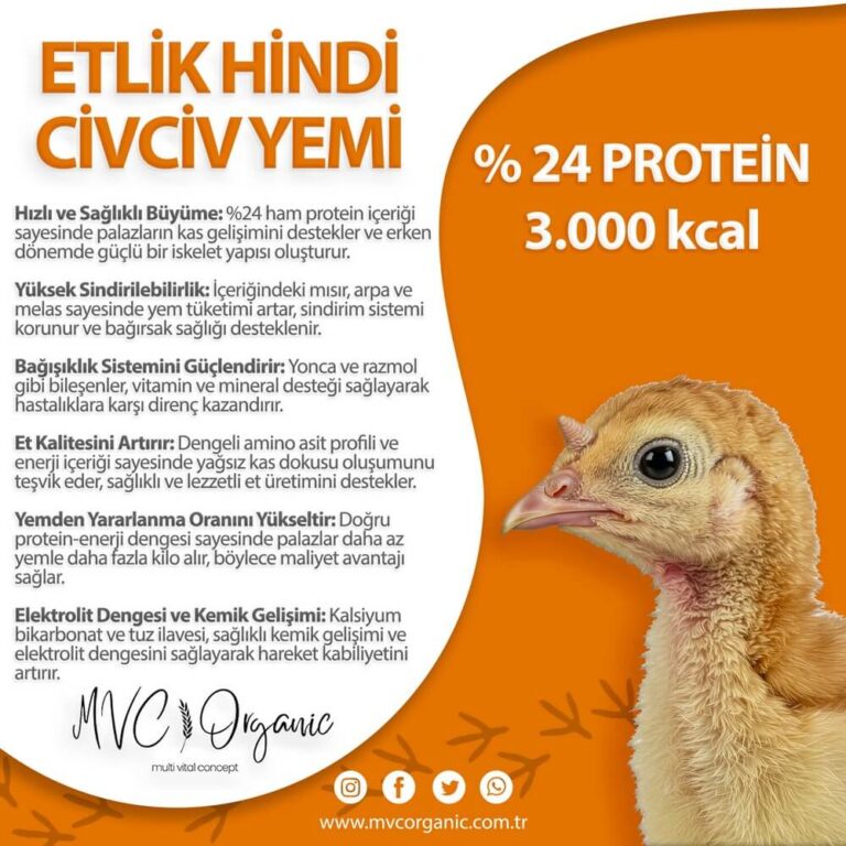 Etlik Hindi Civciv (Palaz) Yemi (24 Protein)