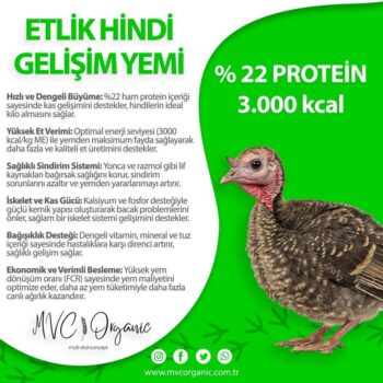 Etlik Hindi Gelişim Yemi