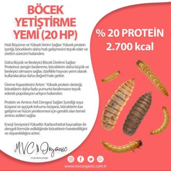 Böcek Yetiştirme Yemi (20HP)