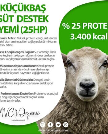 Küçükbaş hayvan ve süt yemi faydaları görseli