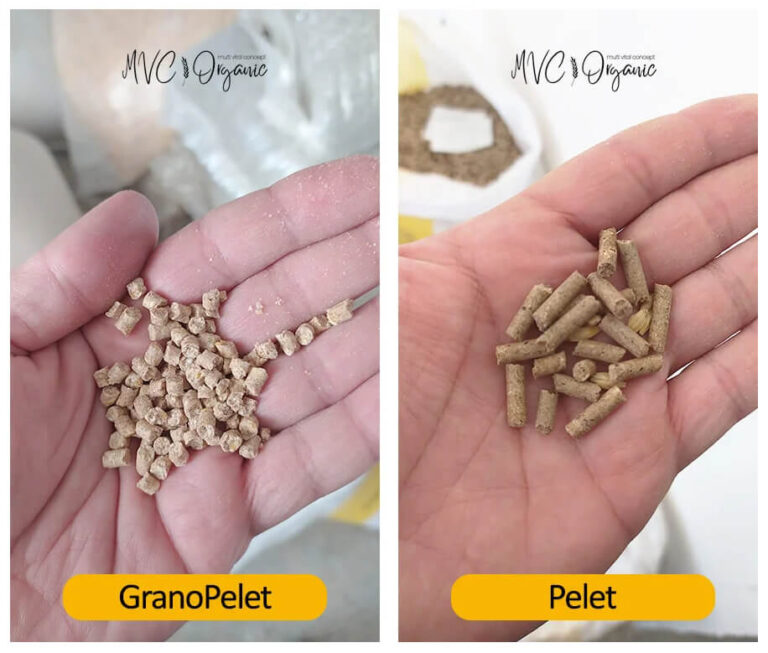 Yumurta Yemi (18HP) photo review