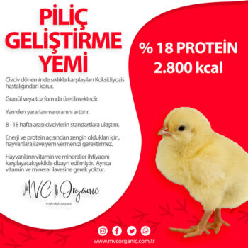 Yumurtacı Gelişim Yemi (18HP)