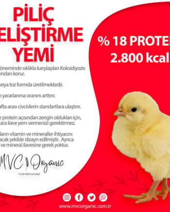 Yumurtacı Gelişim Yemi (18HP)