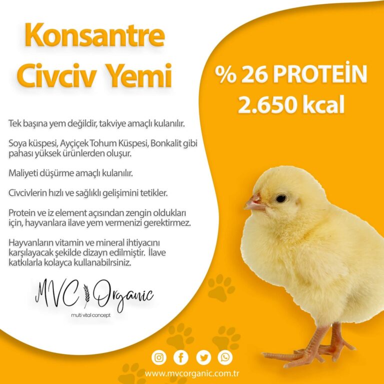 Konsantre Civciv Yemi