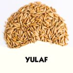 Yulaf (25 KG)