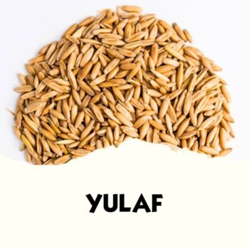 Yulaf (20 KG)
