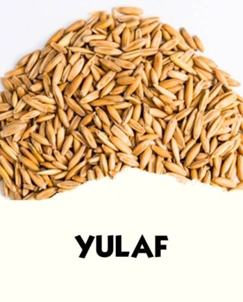 Yulaf (20 KG)