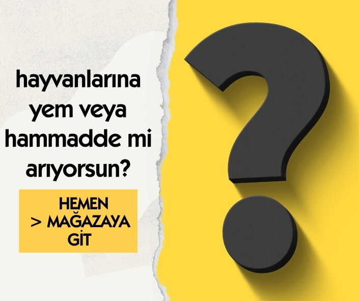 Mağaza Yönlendirme Görseli