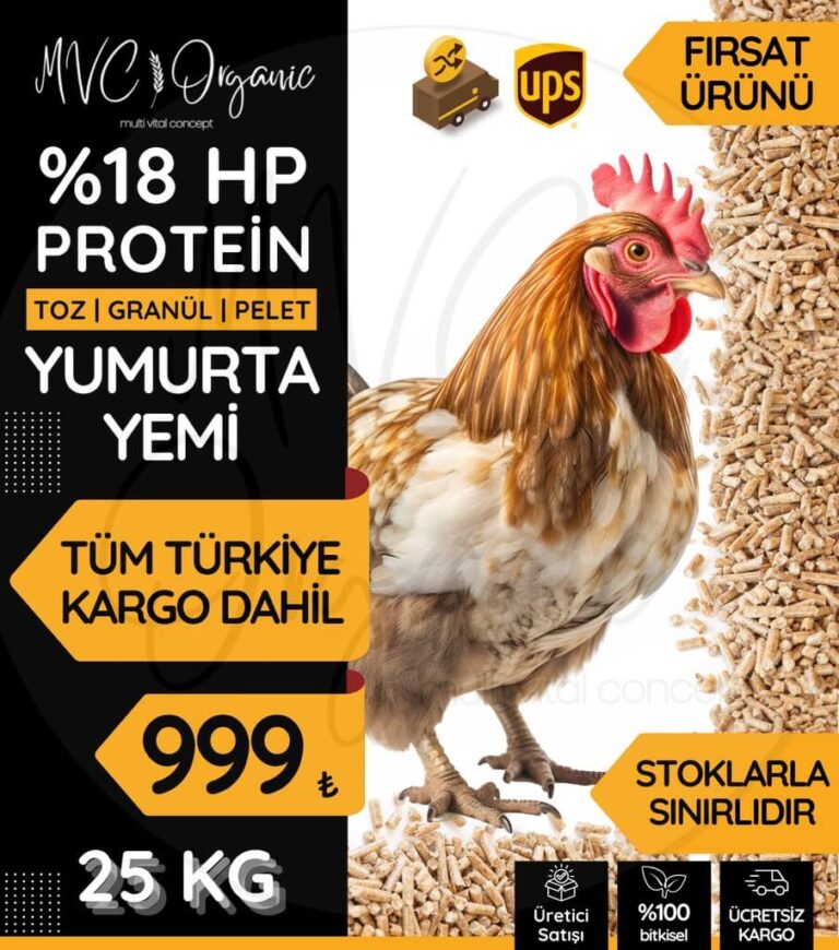 Yumurta Yemi (18HP) photo review